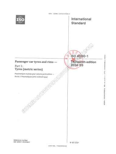 2024-轿车轮胎和轮辋—第1部分：轮胎（公制系列）